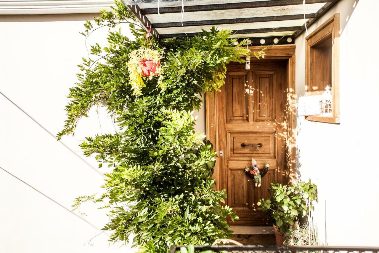 Lefkáda La Casa Di Caterina: Nature,Relax And Private Garden מראה חיצוני תמונה